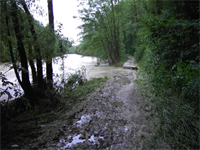 Hochwasserschäden Römerradwanderweg 02-06-2013 001.jpg
